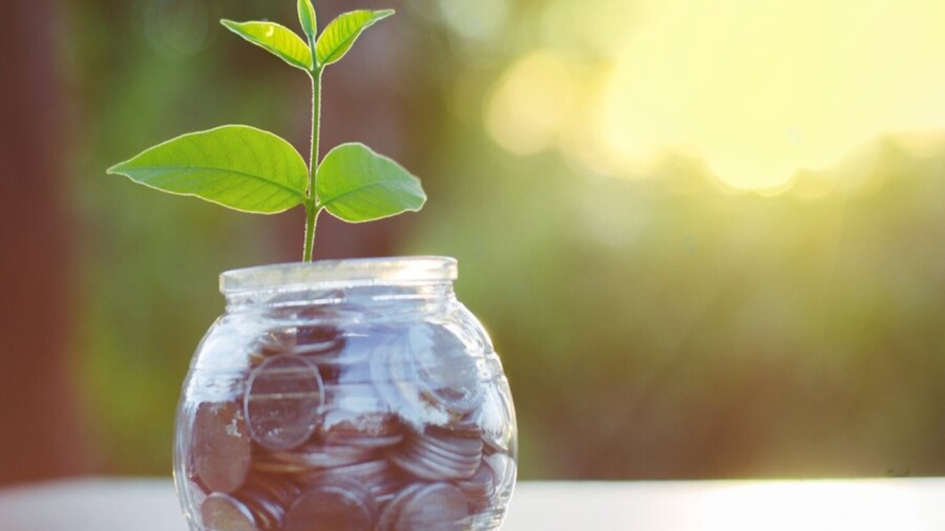 What You Need To Know About Financing Opportunities For SMEs